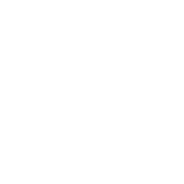 {"widths" => "50, 75, 100, 150, 200, 300, 400, 500, 750, 1000, 1250, 1500, 1750, 2000, 2250, 2500, 2750, 3000, 3200"}